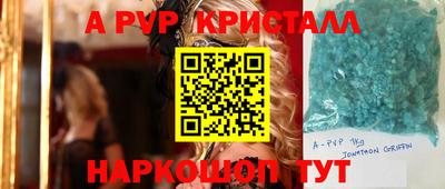 спиды Гагарин