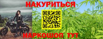 сатива Аша