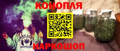 спиды Гагарин