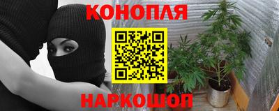 спиды Гагарин