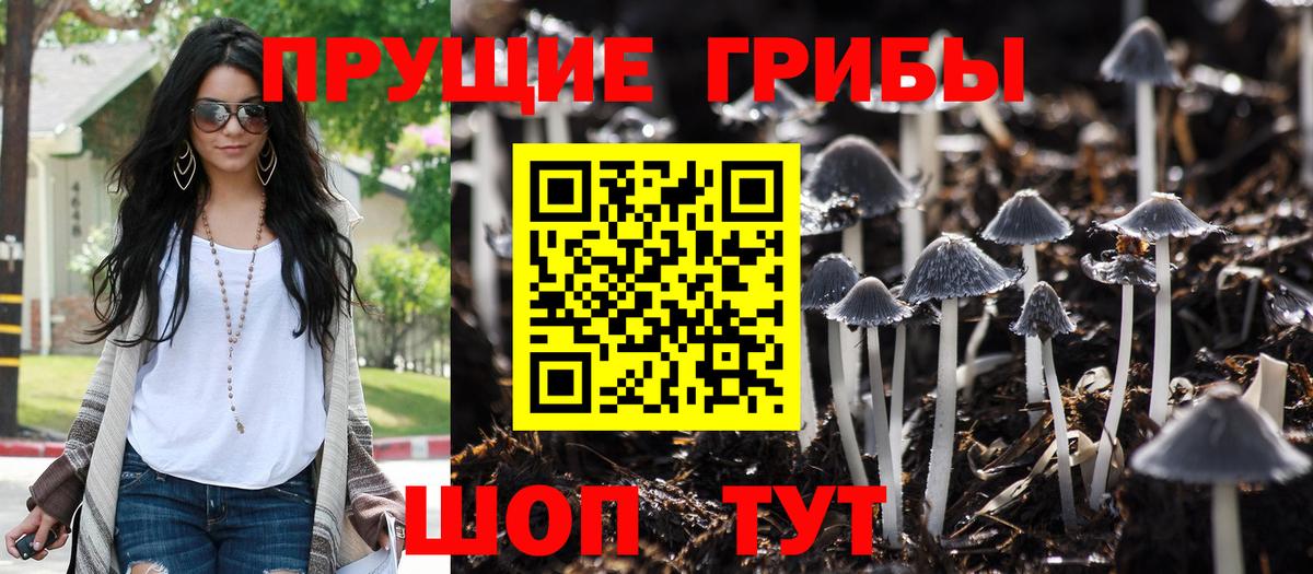 Галлюциногенные грибы мицелий Бахчисарай