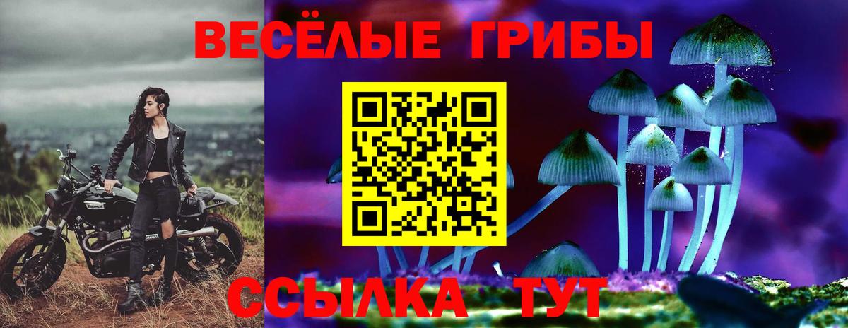 Бахчисарай  хочу   Псилоцибиновые грибы ЛСД  Вход с VPN  Галлюциногенные грибы GOLDEN TEACHER 